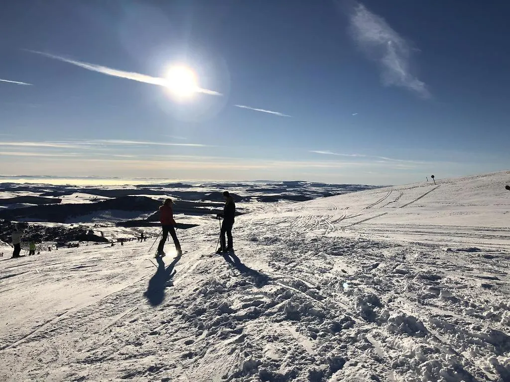 Residence Le Mont Dore 2 Etoiles 0*, Le Mont-Dore Frankrijk
